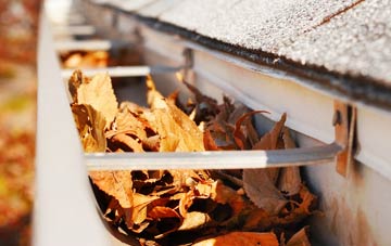 Lower Aisholt gutter cleaning companies