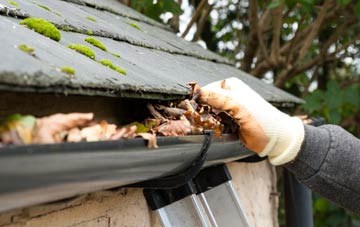 gutter cleaning Lower Aisholt, Somerset
