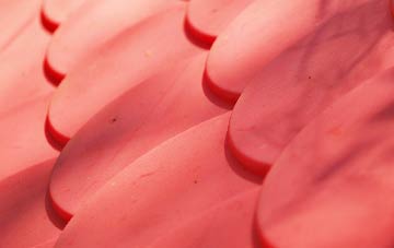 Lower Aisholt plastic roof costs