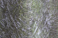 Lower Aisholt fibreglass roof work